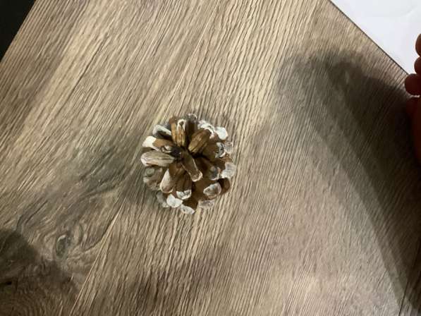 Лялька масяська в Москве фото 9