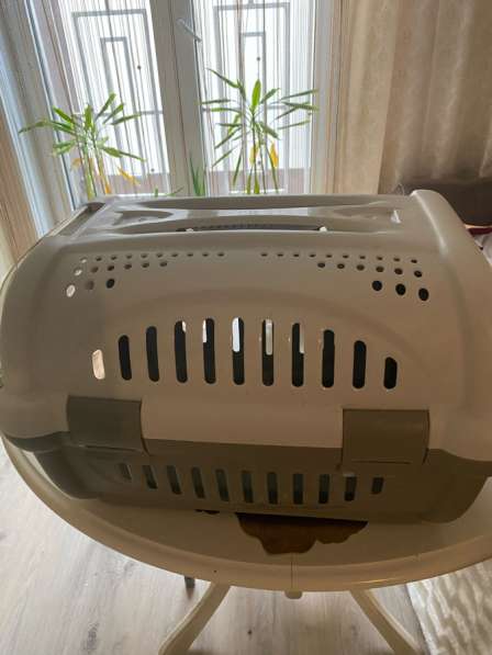 Переноска для животных в Санкт-Петербурге фото 3