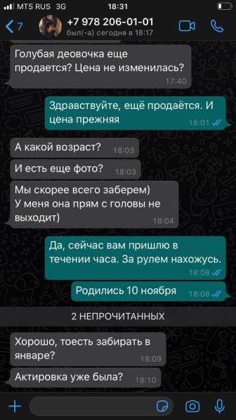 Американский стаффордширский терьер в Москве фото 42