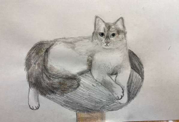 Рисунок по фото питомца в Москве