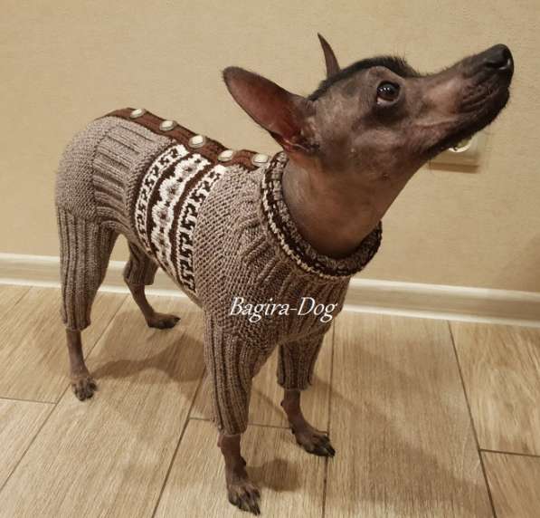 Комбинезоны и свитера для Ксоло, Перуанских голых собак в Москве фото 14