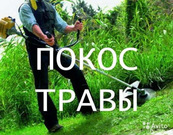 Покос травы на участке
