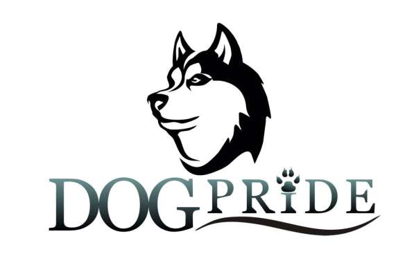 DogPride в Новосибирске в Новосибирске фото 3