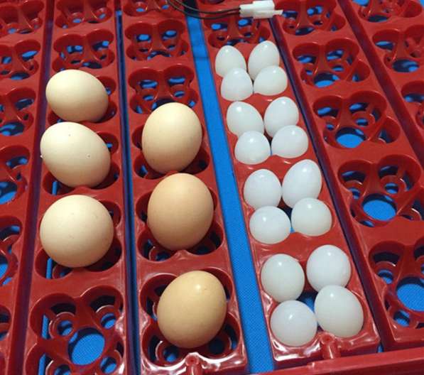 Лотки с переворотом для инкубатора на 36-144 яиц универсальн в Астрахани