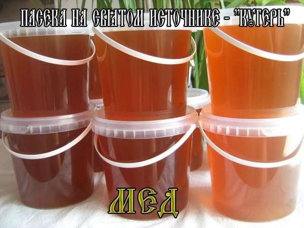 Перга, мёд, сотовый мёд, с пасеки «Кугерь» в Кирове фото 4