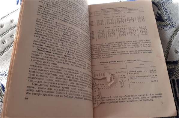 Основы животноводства для учащихся сельской школы. 1957 год в фото 6