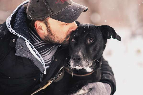 Статный красавец Виконт ищет семью в Москве фото 23