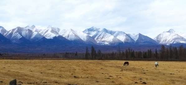 Сдам 2х ком. кв в Усть-Илимске фото 12