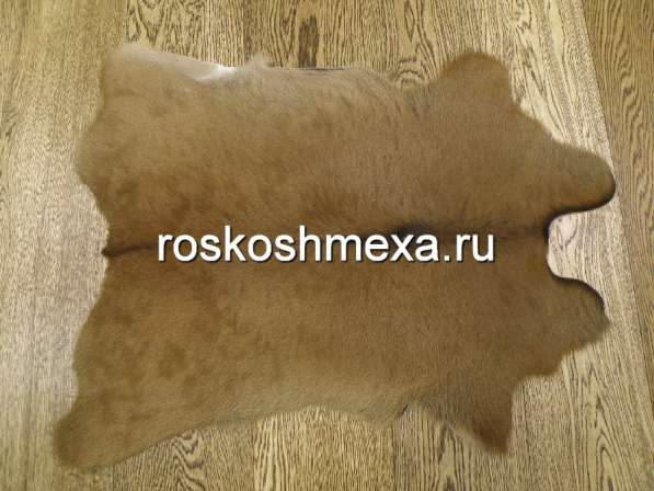 Шкуры телят — практично и недорого в Москве фото 14