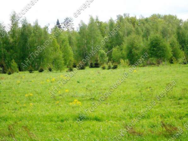 realty_mapper3.plot_in_locationПлощадь 253.00 сот.Есть Электричество, Газ. в Москве фото 31