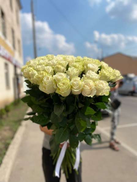 Роза эквадорский и местные Роза по оптовой цене в Москве фото 8
