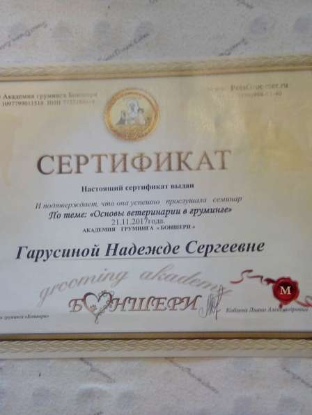 Профессиональная стрижка собак и кошек в Брянске фото 22