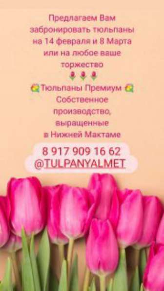 Тюльпаны собственного производства в Альметьевске фото 3