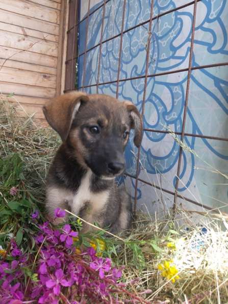 Кто искал счастье? Вы его нашли в Москве фото 4