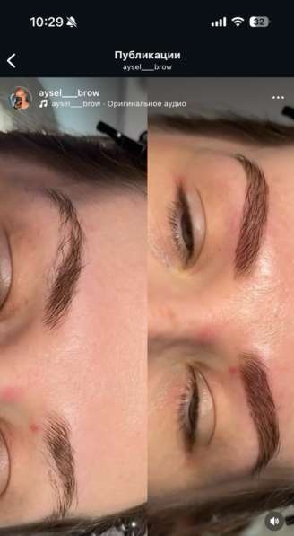 Бровист в Норильске фото 5