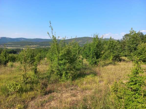 Участок коммерческого назначения 1 га в Севастополе фото 6