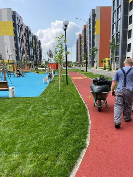 Ландшафтный дизайн. Озеленение в Краснодаре фото 7