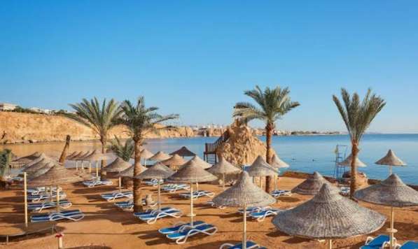 Работа в Египте