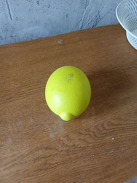 Продам лимонница продам лимонница хорошую в Новосибирске фото 4