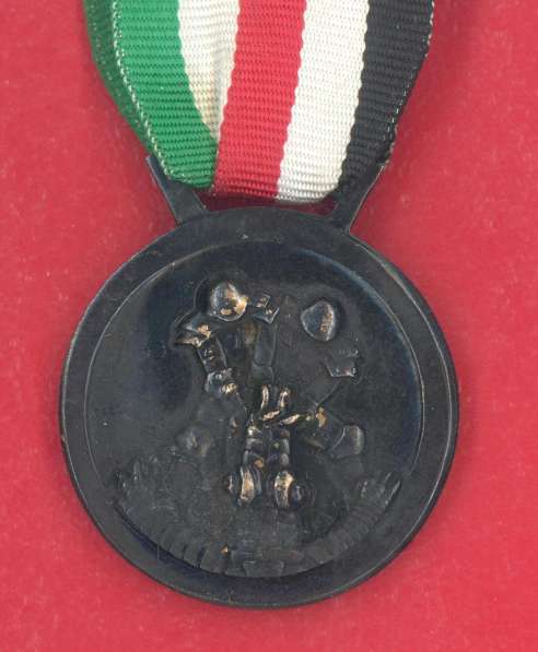 Италия Итало-германская медаль За Африканскую кампанию в Орле фото 17