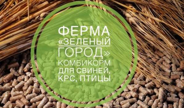 Ферма « Зелёный город» в Миассе фото 3