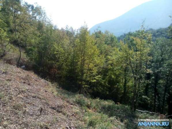 Продается земельный участок на ЮБК в Алуште фото 4