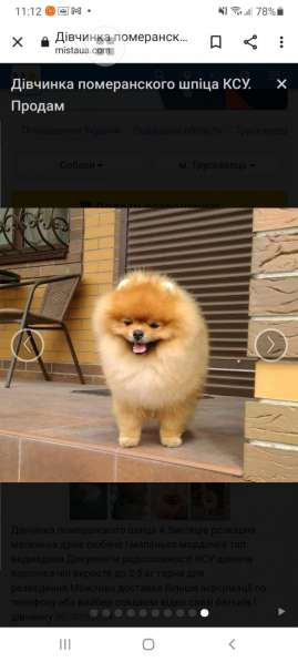 Маленькие живые мишки девочки 3месяца в фото 19