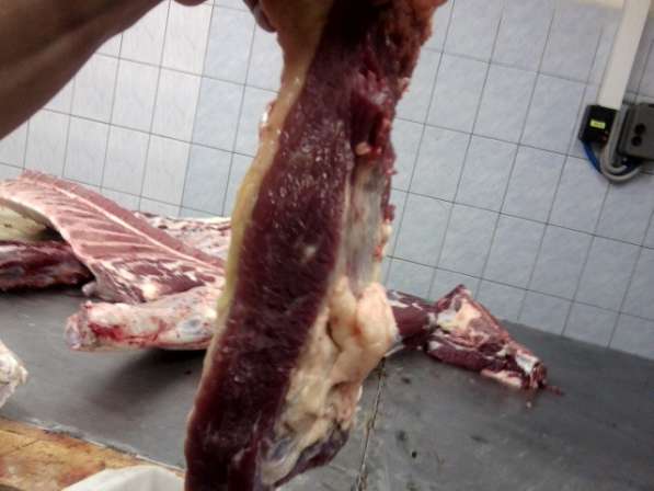 Мясо говядина, бескостная,категория А, группа 1,подгруппа1.3 в Ижевске