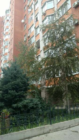 Квартира то строителей Маршала Говорова Приморский район в фото 4