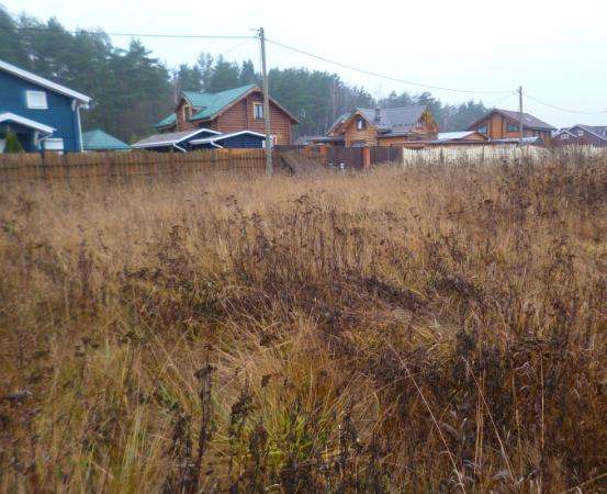 Участок в Ногинске фото 5