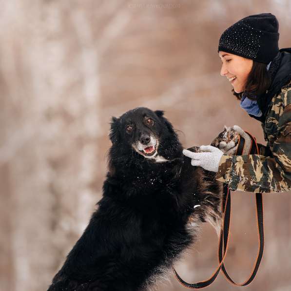Весёлая, ласковая Чукча ищет семью в Москве фото 48