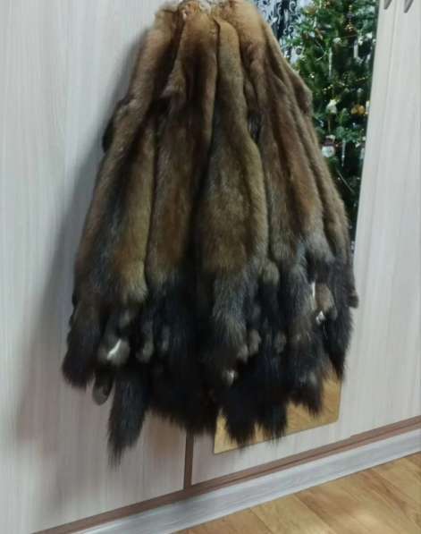 Шкуры соболя в Перми фото 7
