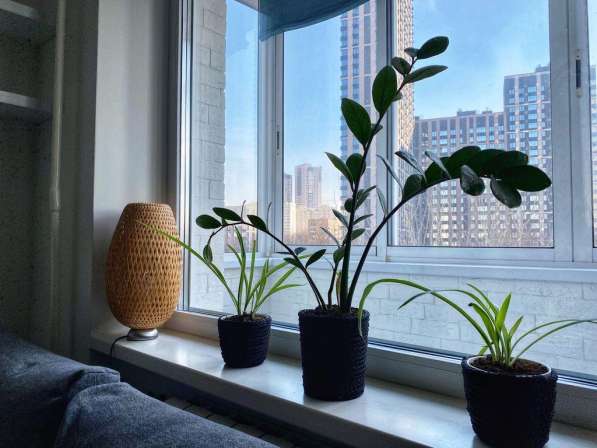 Уютно тепло и рядом метро в Москве фото 5