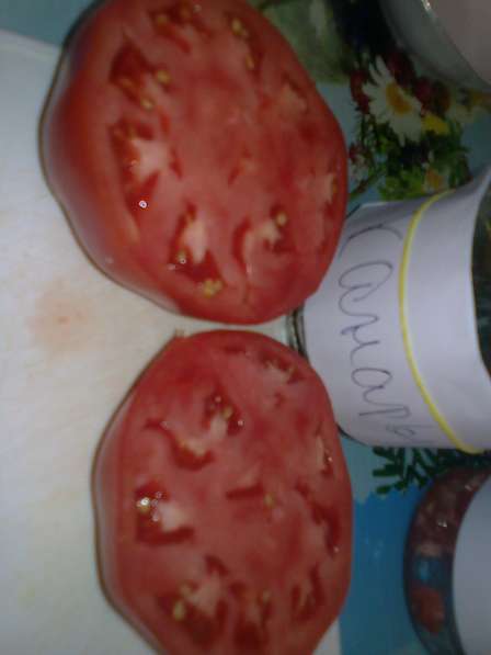 Продаю семена томатов для ОГ и теплиц, более 100 сортов! в Коломне фото 8