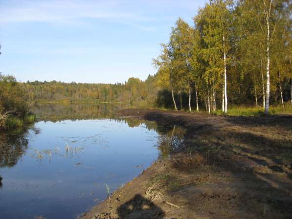 Новый дом на 140 сотках на озере у леса в Санкт-Петербурге фото 11