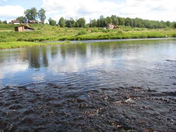 Участок ижс 25 сот на лососевых порогах реки Оять 1 линия в Санкт-Петербурге фото 7