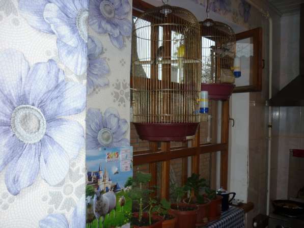 Продам дом в центре Таганрога в Таганроге фото 10