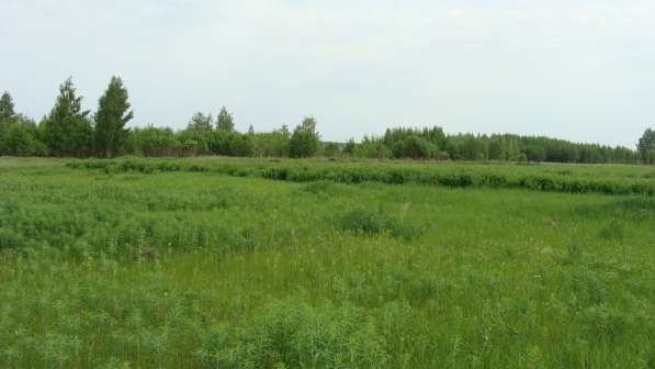 Продажа земельного участка в Москве фото 9