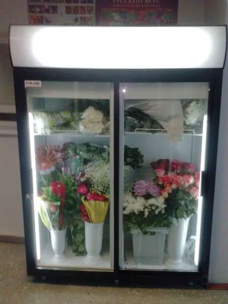 Холодильные вертины 
