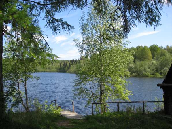 Новый дом на 140 сотках на озере у леса в Санкт-Петербурге фото 4