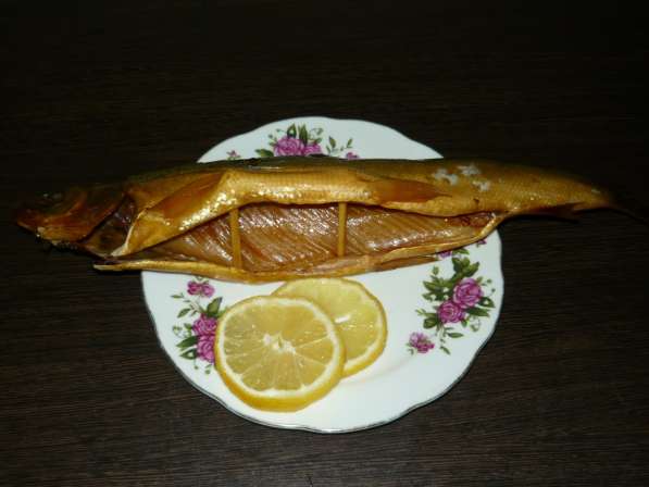 Северная рыба