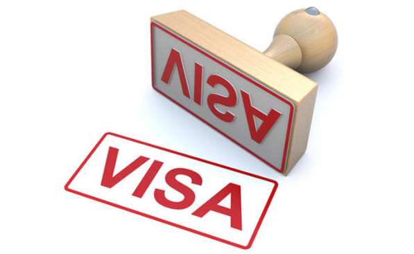 Перевод документации на визу