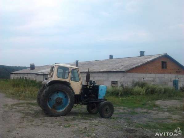 Фермерское хозяйство в Новокузнецке фото 5
