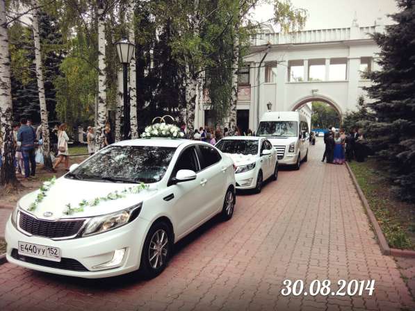 Аренда авто на свадьбу в Нижнем Новгороде фото 9