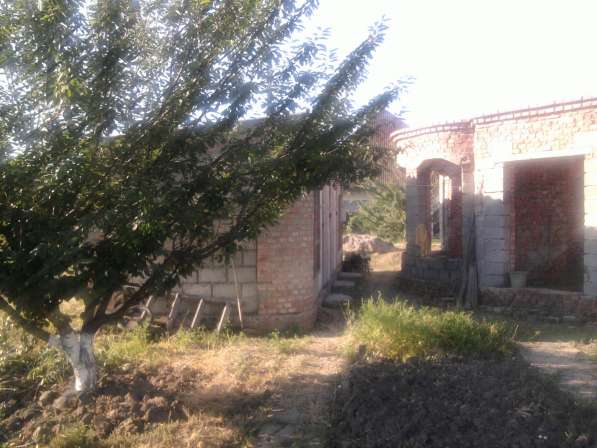 Дом с постройками и насаждениями в Славянске-на-Кубани
