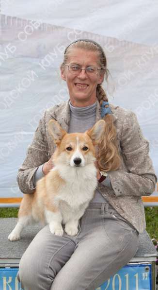 Щенки вельш корги пемброк в Москве фото 14