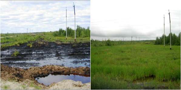 Рекультивация нефтезагрязненных земель