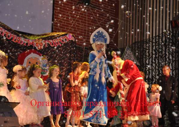Пригласите Деда Мороза и Снегурочку-на Дом, на Корпоратив в Воскресенске фото 5