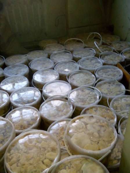 продам грибы грузди оптом в Рубцовске