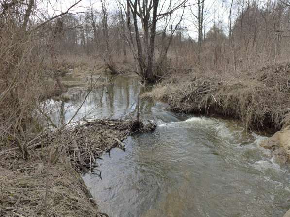 участок 12 соток в Москве фото 4